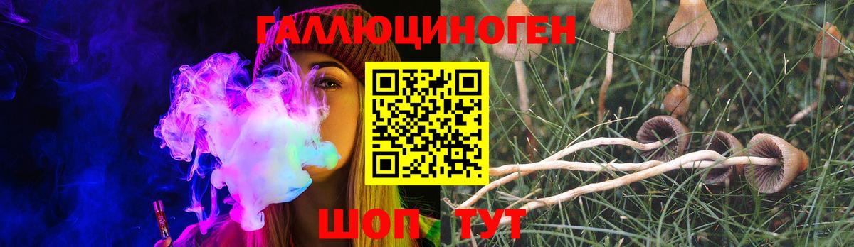 Псилоцибиновые грибы Magic Shrooms Городец
